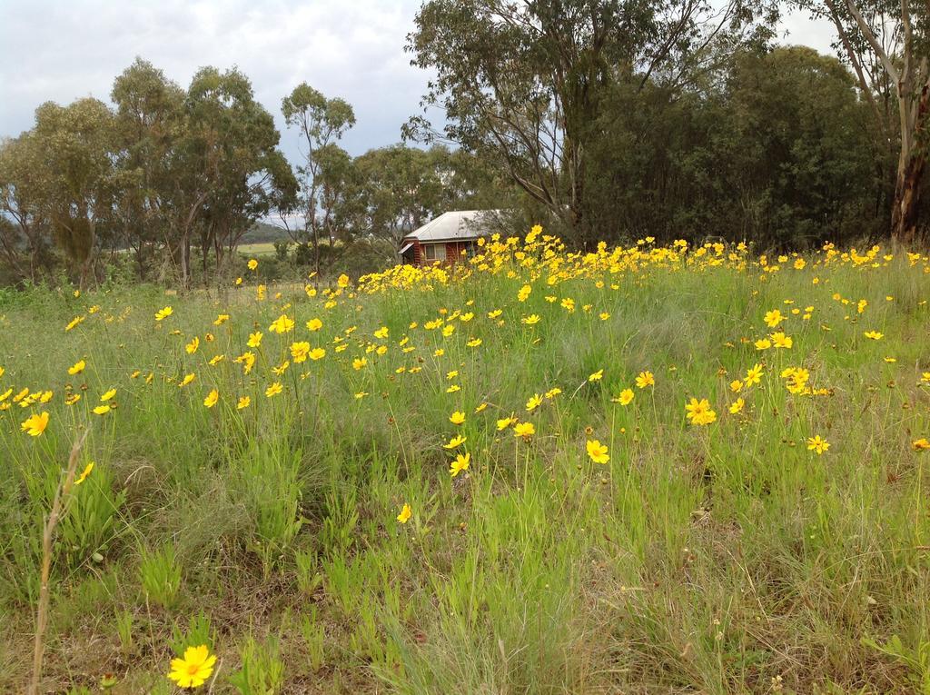 Fergies Hill Spa Cottage @ Granite Ridge Wines Ballandean Exterior foto